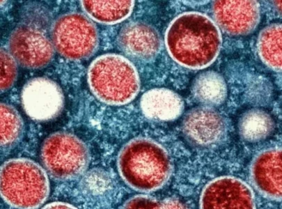philippines reports year s first case of mpox strain not yet identified philippines reports year s first case of mpox strain not yet identified